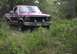 1981 Ford Bronco - topless in FL