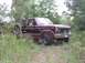 1981 Ford Bronco - A maroon Ford Bronco is partially obscured by foliage in a wooded area.