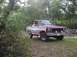 1981 Ford Bronco - This 1981 Ford Bronco is shown in a three-quarter front view, parked outdoors amongst trees.