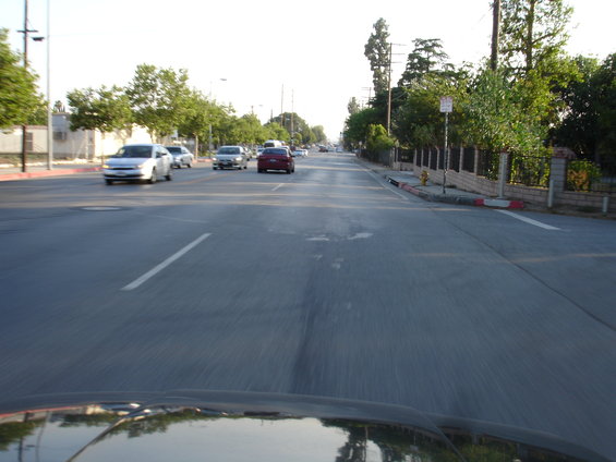 dsc08898.jpg 