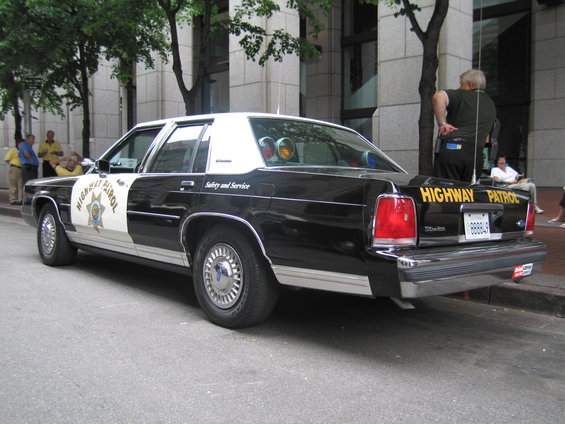 picture-161.jpg 