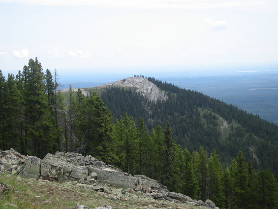 Mountain landscape with pine trees and rocky foreground under a cloudy sky