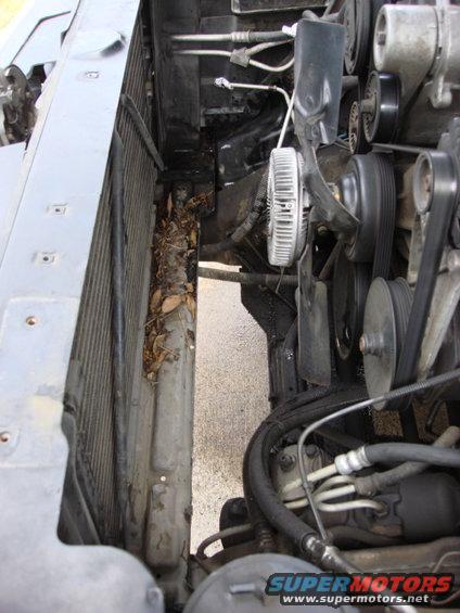 old-raditor12.jpg the raditor came right out. i cleaned the front end so there as no oil or p/s fluid and road crud.