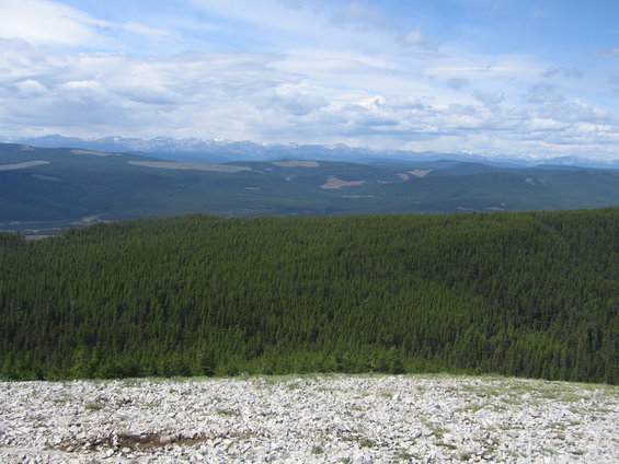 Mountain landscape with dense green forest and rocky foreground under a cloudy blue sky