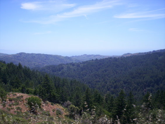 beach2-005.jpg 