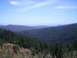 1989 Ford Bronco - A vast expanse of rolling hills covered in dark green trees stretches towards the horizon under a clear blue sky.