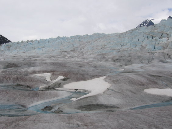 Expansive glacier surface with blue meltwater streams flowing through grey ice and snow, mountains in background