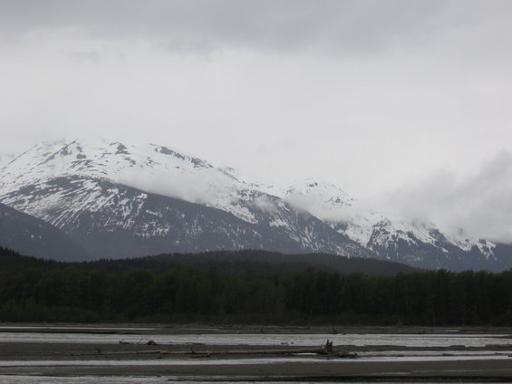 Snowy mountains loom over a dark forest and a wide, shallow riverbed with scattered debris
