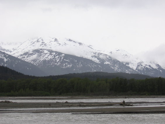 Snow-capped mountains loom over a dark forest and a wide, gravelly riverbed under an overcast sky