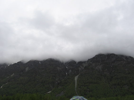 Cloud-covered mountains rise above a dense forest under a gray sky