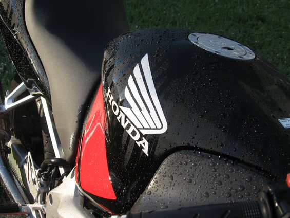 Close-up of a black motorcycle fuel tank covered in water droplets, showing the white Honda wing logo and a red stripe