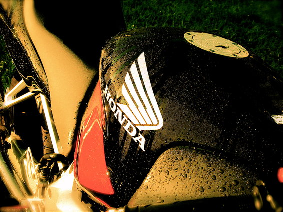 Black motorcycle fuel tank with white Honda logo and red accent, covered in water droplets