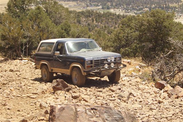 Dark blue Ford Bronco with a white top and aftermarket bumper, parked on a rocky, off-road trail