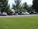 1992 Ford Taurus - A group of cars are parked in a line on a sunny day with trees in the background.