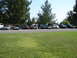 1992 Ford Taurus - A group of cars are parked in a lot during an outdoor gathering.