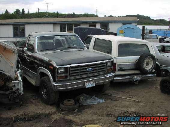 Black 1980s Ford pickup truck and white Ford Bronco in junkyard