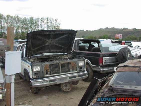 Junkyard scene with a 1980s Ford Bronco and other vehicles, hoods open