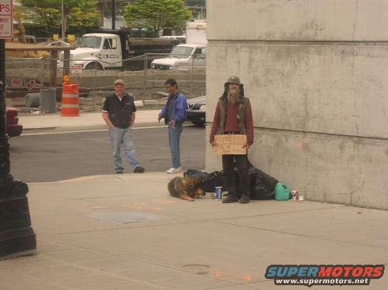 Homeless person holding a sign that says "HOMELESS" with a dog lying down nearby