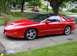 1996 Pontiac Firebird