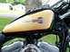2005 Harley-Davidson Sportster - NEW Paint