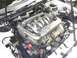 1995 Ford Taurus - The engine bay of a 1995 Ford Taurus SHO reveals the 3.2L V8 engine, complete with its unique intake runners and a visible battery.