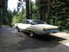 1973 Ford Ranchero - A white coupe with a black vinyl top is parked on a paved surface surrounded by trees.