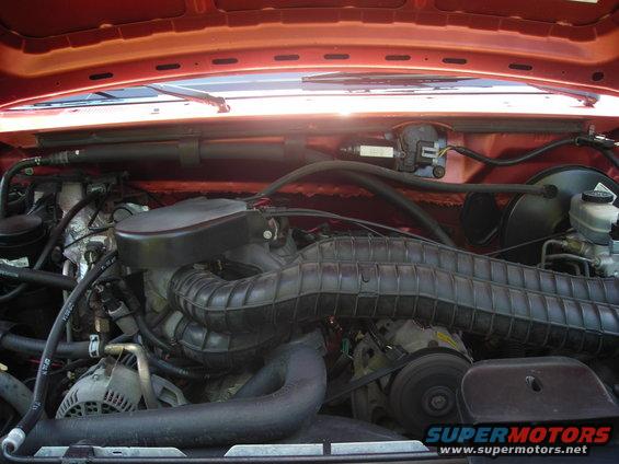 Engine bay with hoses, belts, and air intake visible