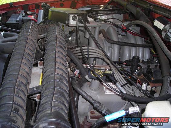 Engine bay with dual air intake hoses, distributor cap, and intake manifold. Some text visible on engine parts
