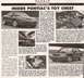 1996 Pontiac Firebird