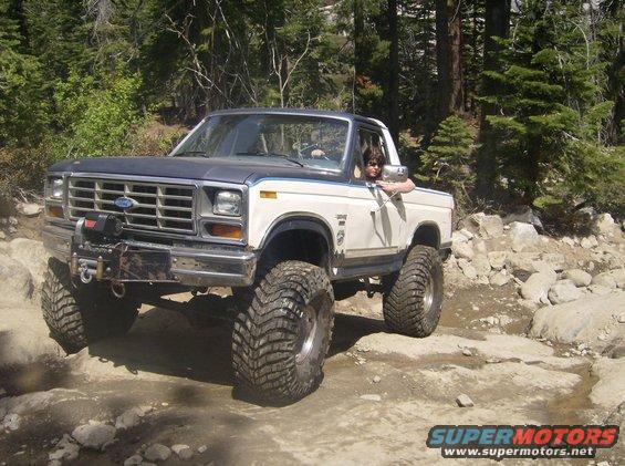 bronco600.jpg 