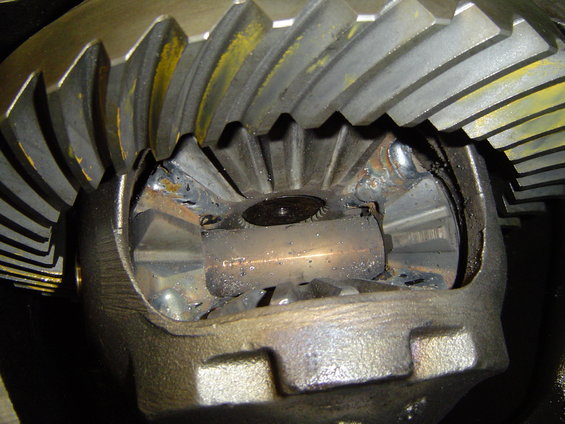 dsc03336.jpg welded spiders