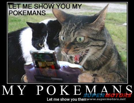 Two cats, one black and white, the other tabby, intensely focused on a purple handheld gaming console