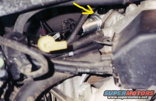 iac.jpg Location of the IAC on V8 & V10 engines/