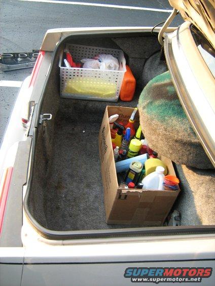 the Trunk