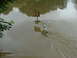 2001 Ford Fiesta - Flooded river scene with a sign and water level marker.