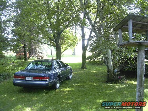 blue sedan parked in grassy yard with trees and a birdhouse