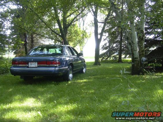 Dark blue sedan parked on grass, rear view. License plate 498-HCV