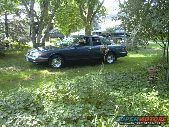 Dark sedan parked in a grassy yard with trees. Another vehicle is visible in the background
