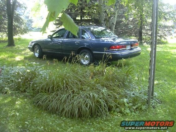 Dark blue sedan parked in a grassy yard, viewed from the rear quarter