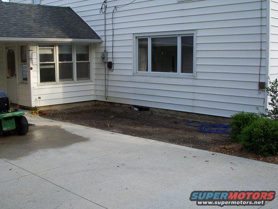 Before, missing several bushes and Ivy