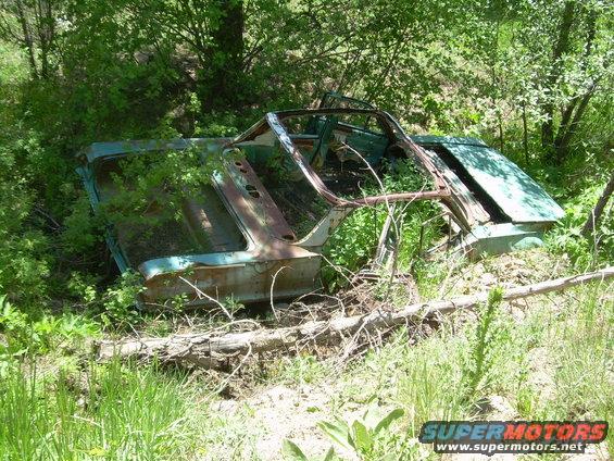 switz--sug-014.jpg old car in a streambed