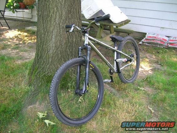 Silver bicycle with knobby tires parked next to a tree
