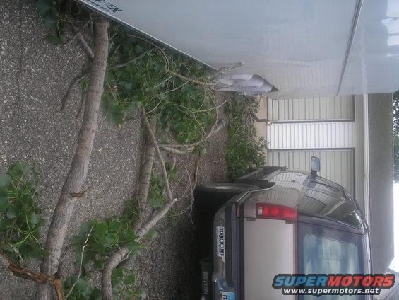 Tan and black van rear view, parked next to a garage with trees in foreground