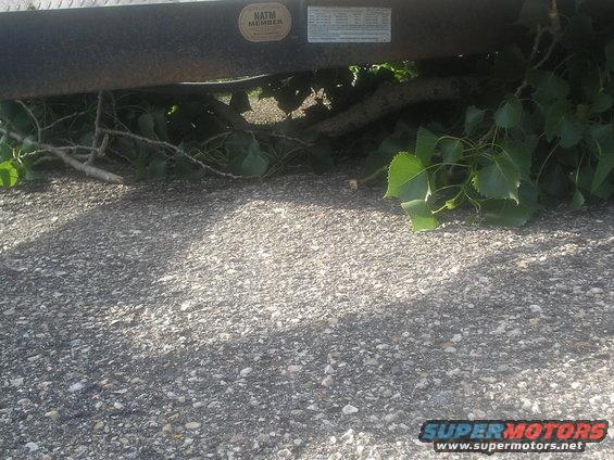 Underside of a trailer frame with branches and leaves underneath. NATM MEMBER sticker visible