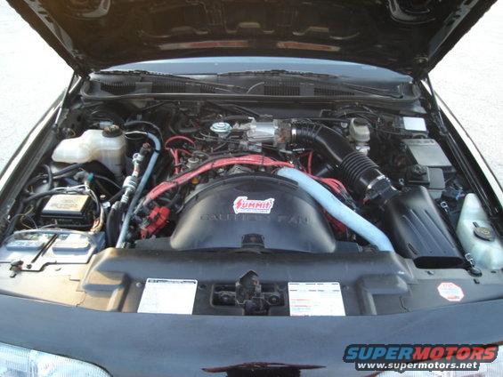1992 Ford Crown Victoria engine bay with Summit fan shroud