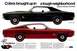 1969 Ford Fairlane - '69 Cobra's