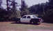 1987 Ford Crown Victoria LTD - A two-tone sedan is parked outdoors with dense foliage in the background.