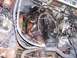1971 Porsche 914 - Close-up view of an engine bay, showing various hoses, wiring, and the engine block.