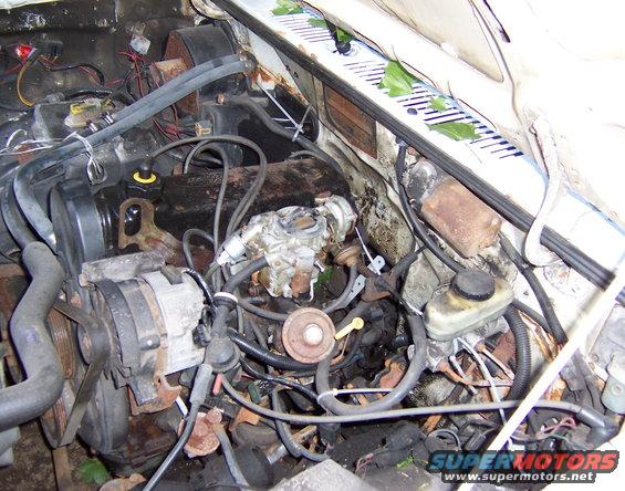 Engine bay with carburetor, alternator, and brake fluid reservoir. Some leaves are visible on the cowl