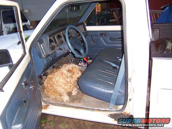 Dog on floor of white pickup truck interior with blue seats and dashboard